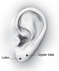 Ear-lobe